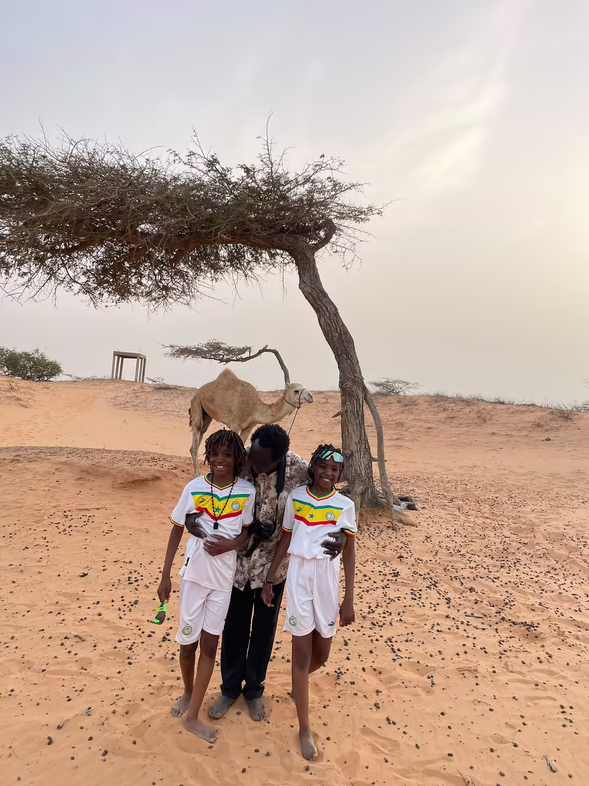 Diambar et de jeunes voyageurs devant un dromadaire et un acacia dans les dunes de Lompoul