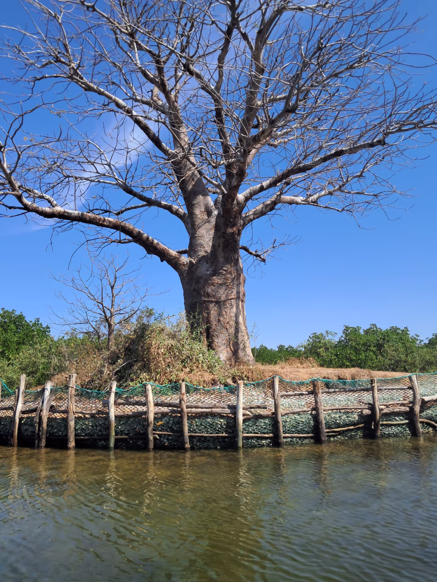 Île de Fadiouth, île aux coquillages du Sénégal (photo provisoire)