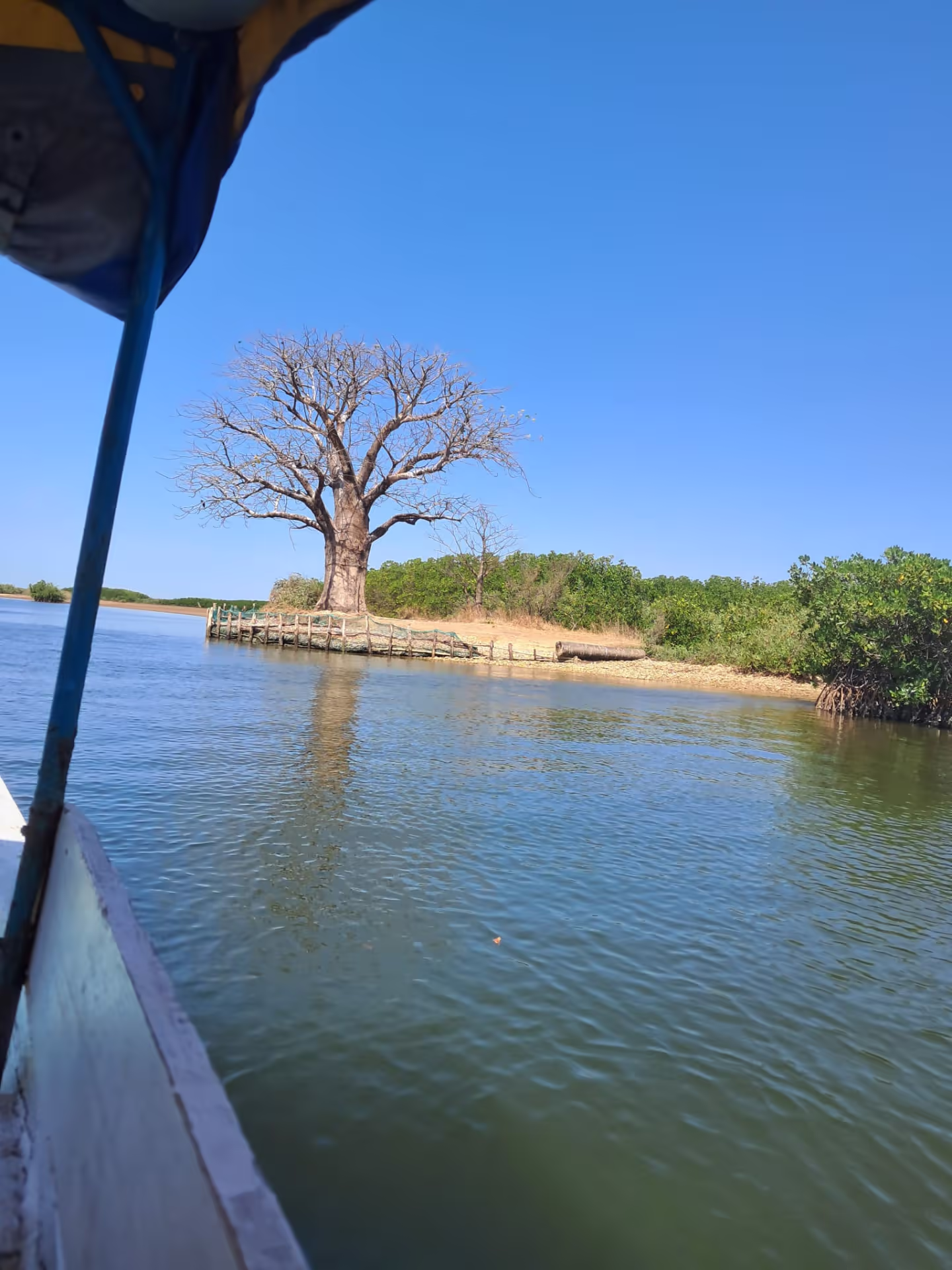 Photo provisoire — pirogue dans le delta près de Fadiouth, Sénégal